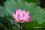 IMG_7065u