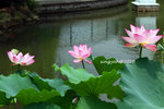 IMG_7094u