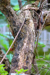 DSCF2472a