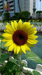 P1000047_up