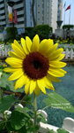 P1000048_up