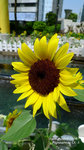 P1000083_up