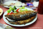 IMG_0052u