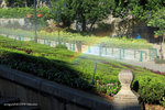 IMG_0085u