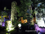 IMG_0227is