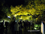IMG_0228is