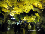 IMG_0229is