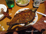 IMG_0253is