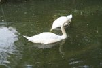 IMG_0178