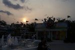 IMG_0194