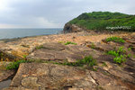DSCF0399u