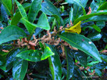 R0010308u