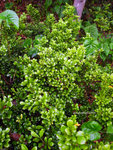 R0010317u