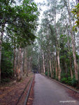 R0010329u