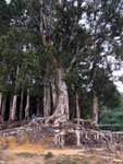 R0010337u