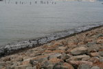 IMG_5958