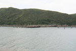 IMG_5962