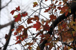 IMG_0167