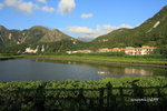IMG_7962_u