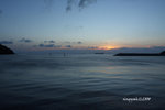 IMG_8003_u
