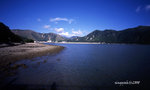 img459_u