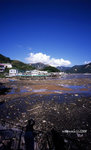 img464_u
