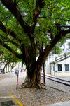 DSCF0206u