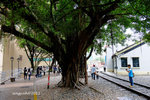 DSCF0207u