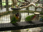 DSCN0169