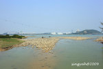 IMG_0918u