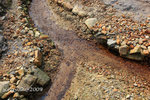 IMG_0943u