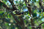 IMG_7157u