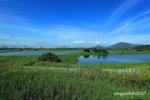 IMG_7166u
