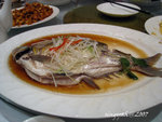 IMG_0111is