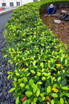 DSCF0071u