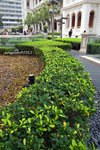 DSCF0074u