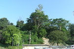 P1010007
