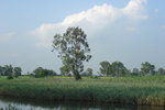 P1010036