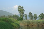 P1010045