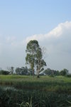 P1010048