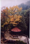 盧山1