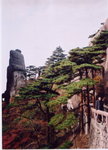 黃山1
