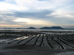 白泥1
