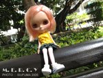 IMG_0358