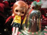 IMG_0360