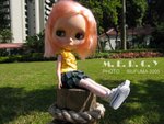 IMG_0380