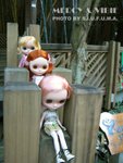 IMG_0462