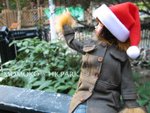 IMG_0479