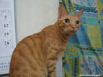 IMG_0025