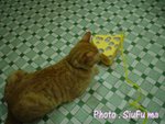 dsc00384